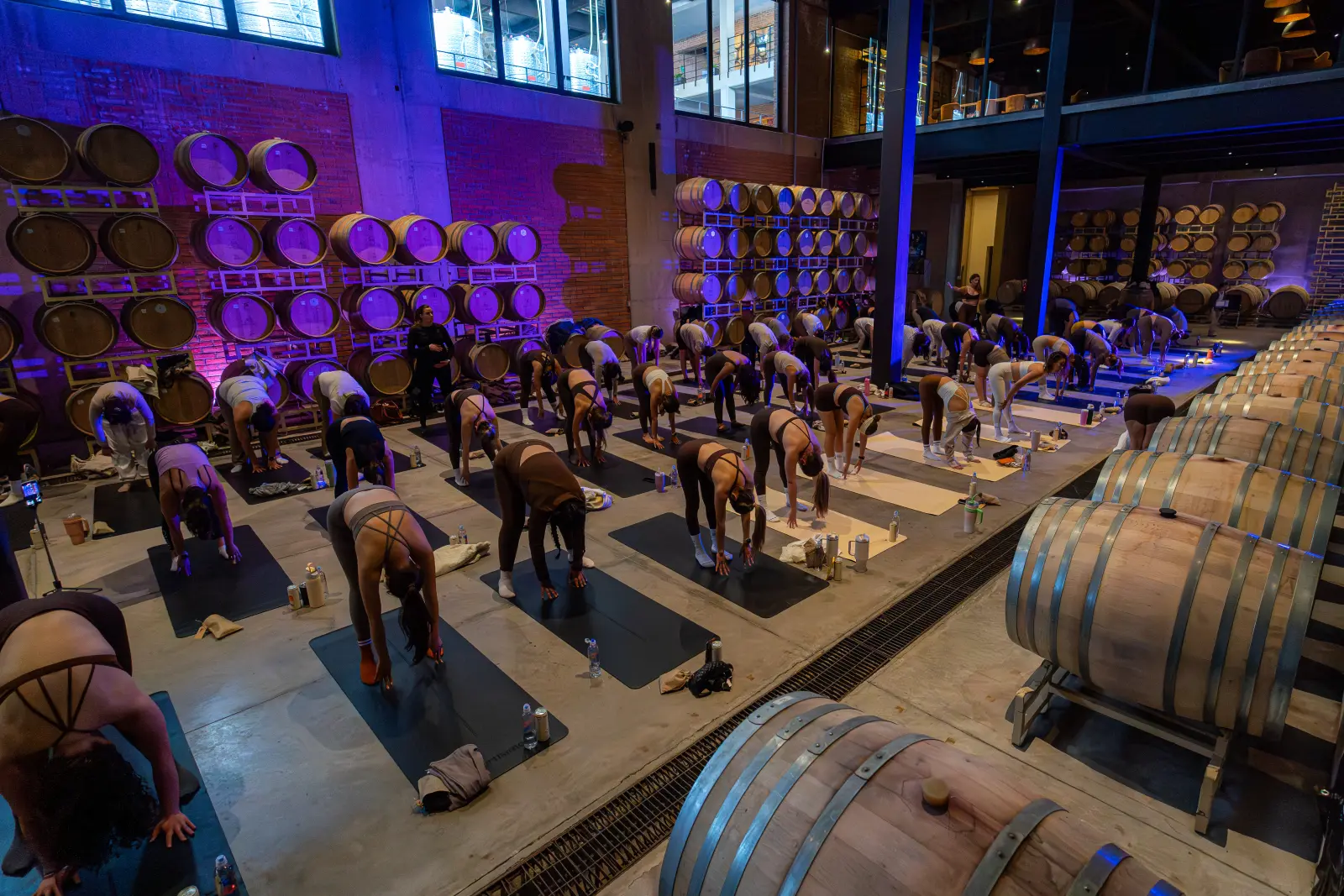 Sala llena haciendo barre entre las barricas de la cava, con la pared iluminada en morado